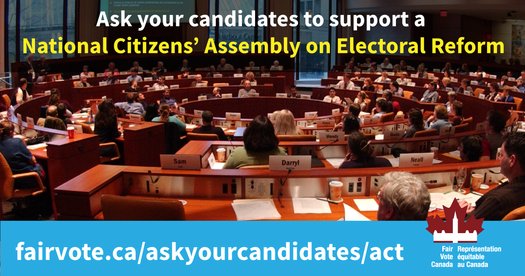 image of Ask your candidate to commit to action on electoral reform!